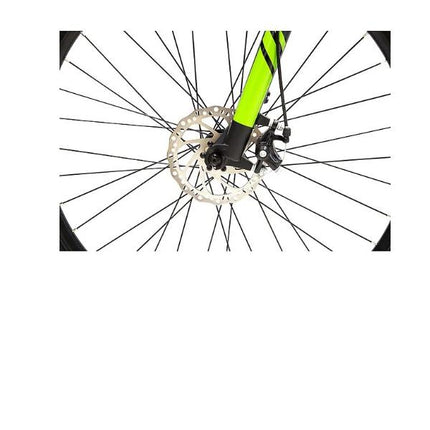 immagine-3-argento-bicicletta-elettrica-argento-e-bike-performance-250w-36v-neroverde-ar-bi-220002-ean-8052679455973
