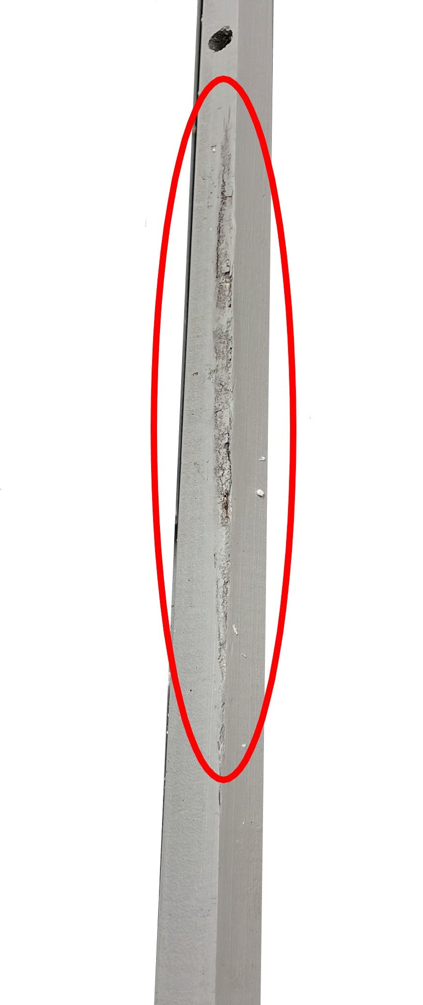 easycomfort area occasioni easycomfort voliera per uccelli da esterno in legno di abete 80 5x57x158 5cm grigio chiaro 1