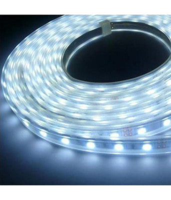 Striscia led adesiva per esterni rotolo da 5 m luce fredda