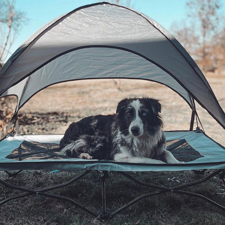 easycomfort easycomfort brandina pieghevole per cani con tettuccio da esterno o interrno grigio