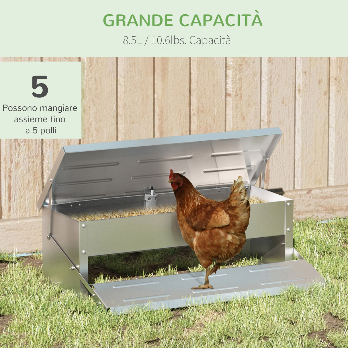 easycomfort easycomfort mangiatoia per galline 8 5 litri 5 polli con coperchio e pedale 56x37x18 5cm argento