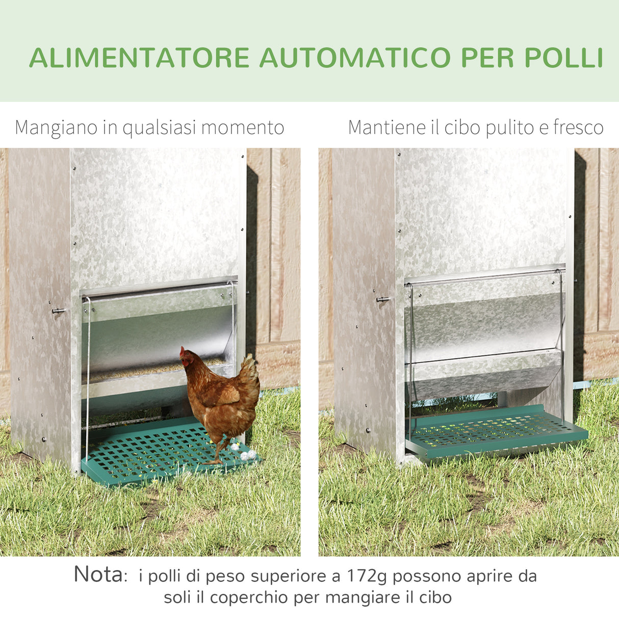 easycomfort easycomfort mangiatoia per galline da 13 5 litri 3 polli con coperchio e pedale 33 5x38 5x66cm