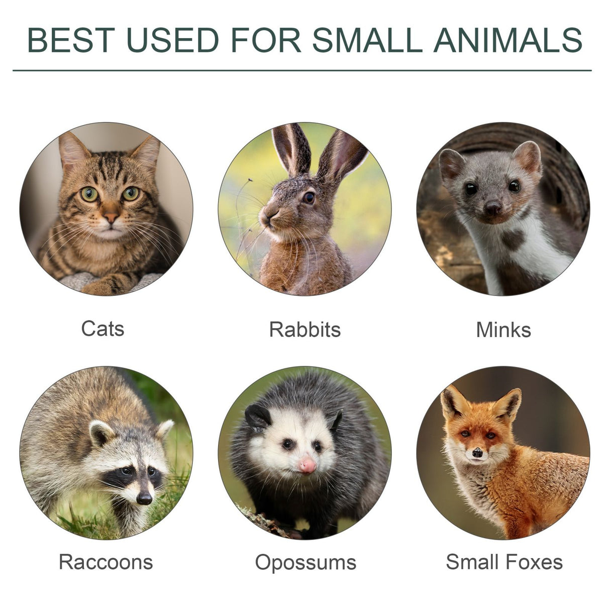 easycomfort easycomfort gabbia trappola per animali vivi con doppia porta 100x25x28cm verde scuro ean 8054111840934