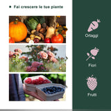 easycomfort easycomfort serra da giardino a tunnel in pvc telaio in acciao trasparente 200x100x80cm ean 8054111849159