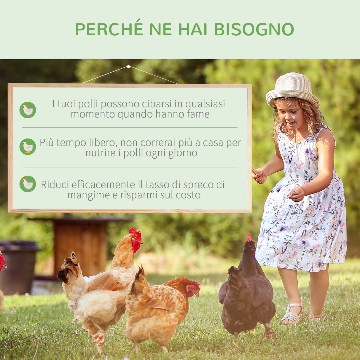 easycomfort easycomfort mangiatoia per galline 8 5 litri 5 polli con coperchio e pedale 56x37x18 5cm argento