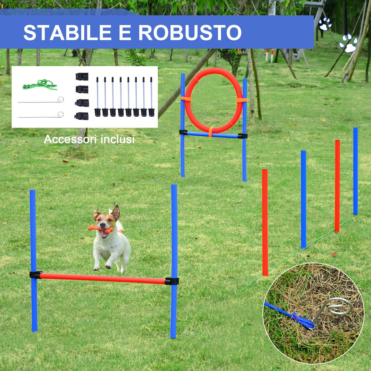 easycomfort easycomfort set agility dog per addestramento cani ostacoli da saltare e slalom sacca di trasporto