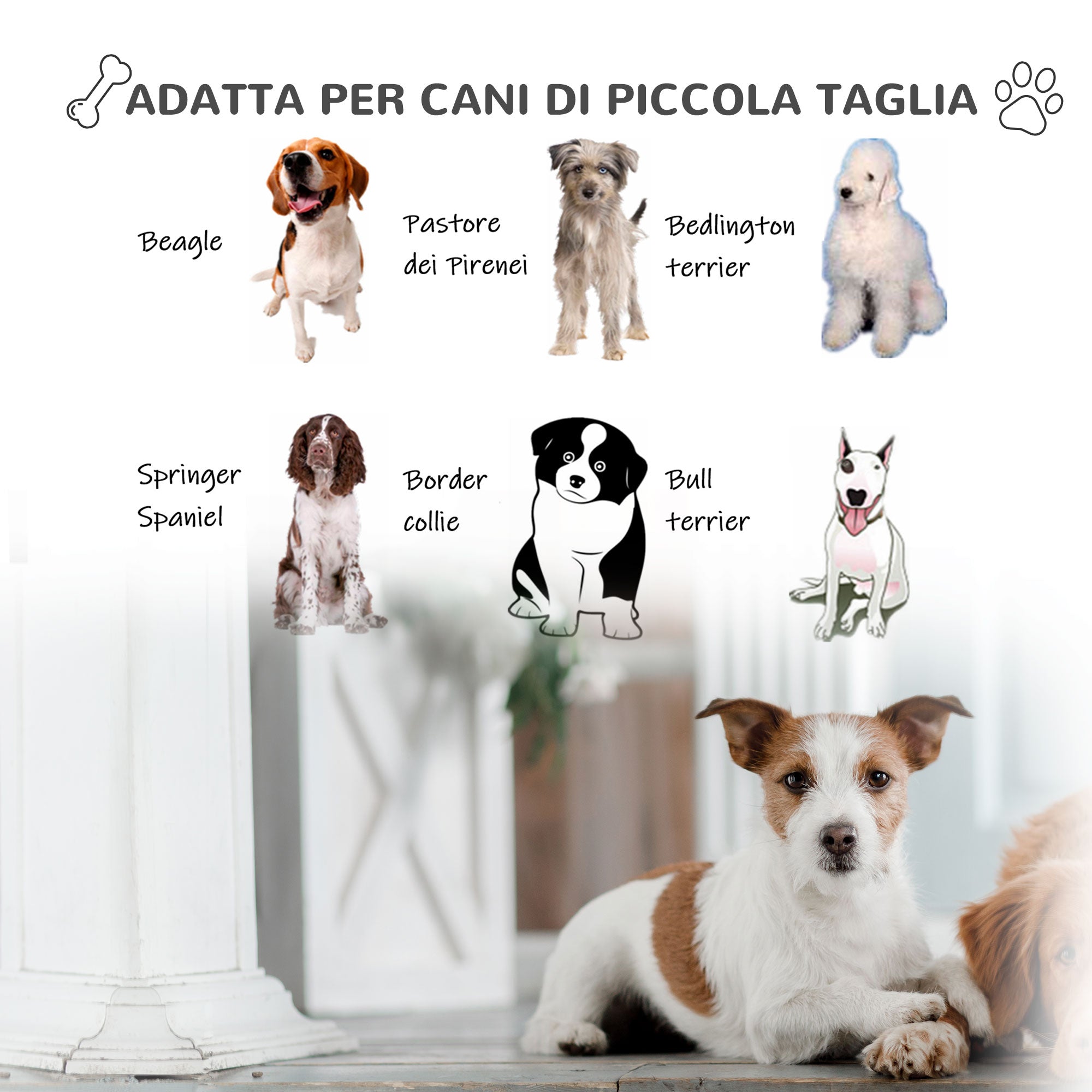 EASYCOMFORT Cuccia in plastica per Cani Medi da Esterno e Interno, Cancello  Rimovibile, 78x87x81cm, Bianco