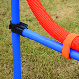 easycomfort easycomfort set agility dog per addestramento cani ostacoli da saltare e slalom sacca di trasporto