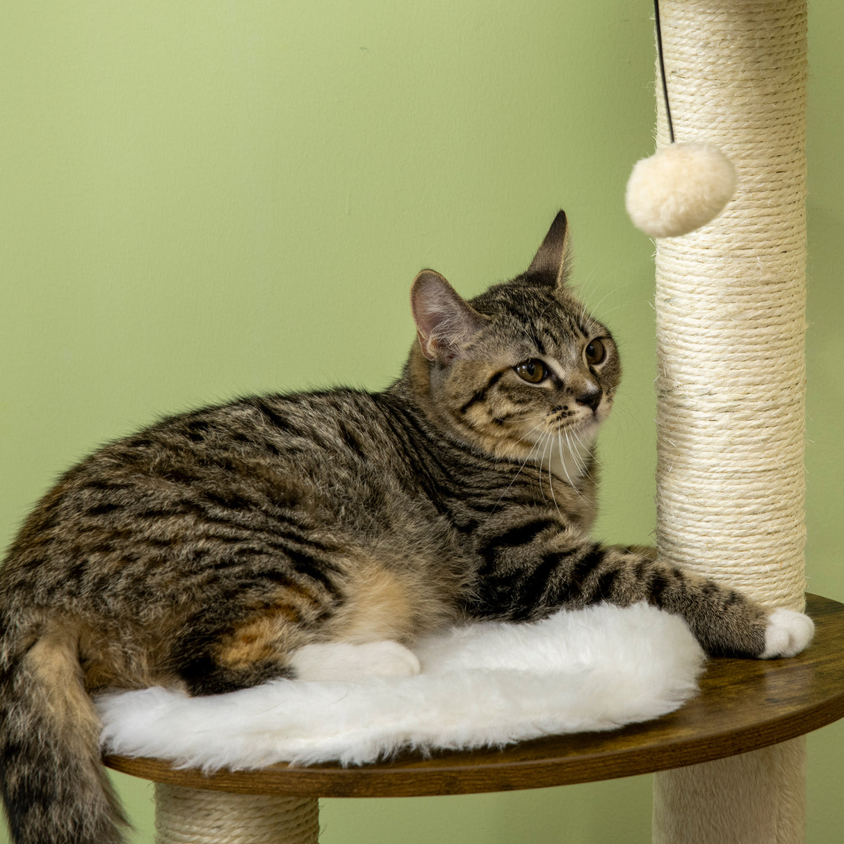 easycomfort easycomfort tiragraffi per gatti con mobile porta lettiera posatoi e pallina da gioco 49x46x131 5 cm marrone